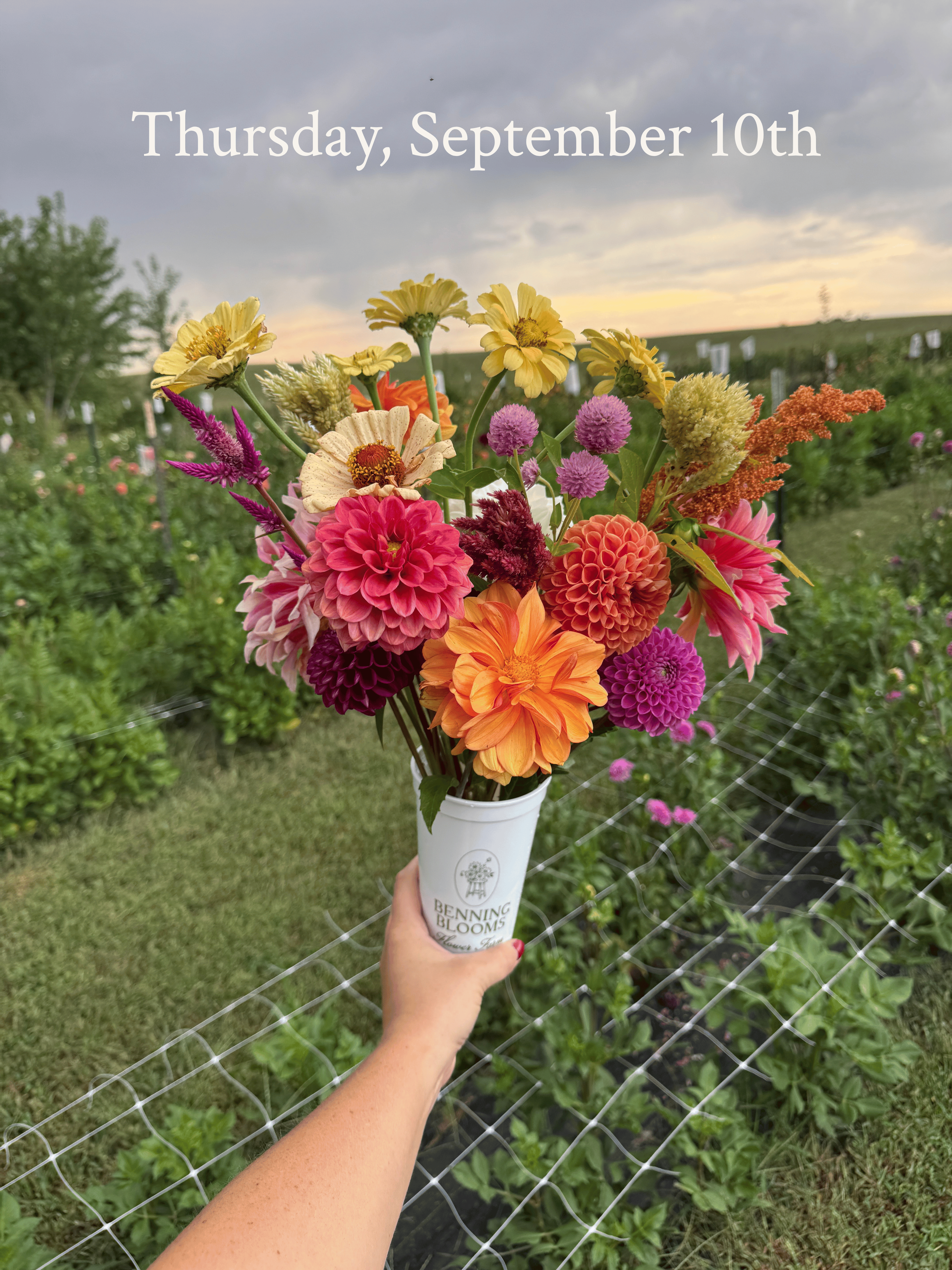 U-Pick Flower Experience (9/10/26)
