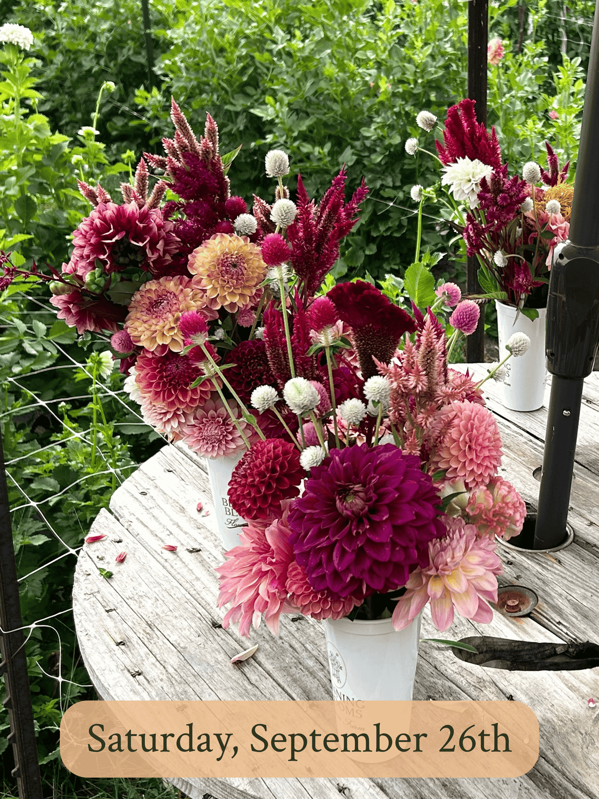 U-Pick Flower Experience (9/26/26)